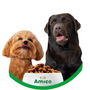 ALIMENTO PERROS