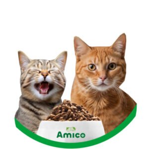 ALIMENTO GATOS